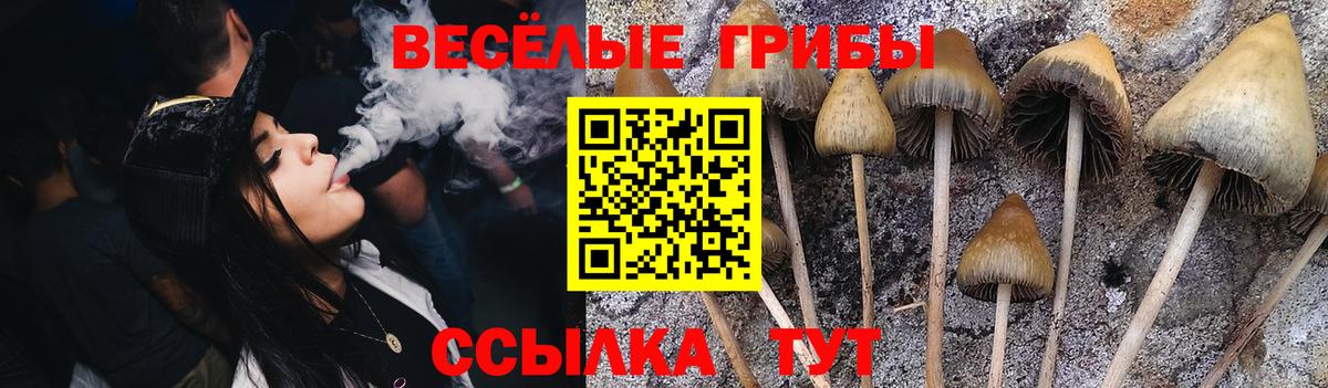 Всеволожск  Галлюциногенные грибы прущие грибы  Вход с VPN  Псилоцибиновые грибы мухоморы 